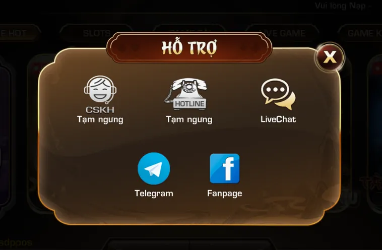 Đội Ngũ Hỗ Trợ Đa Kênh - Tận Tình - Chuyên Nghiệp Và Luôn Sẵn Sàng Tư Vấn 24/7